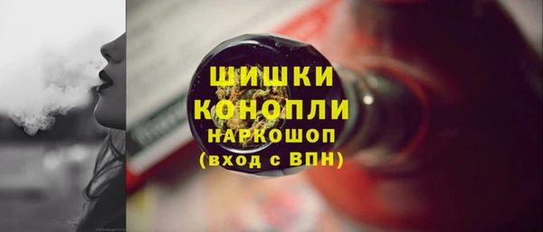 сатива Касимов