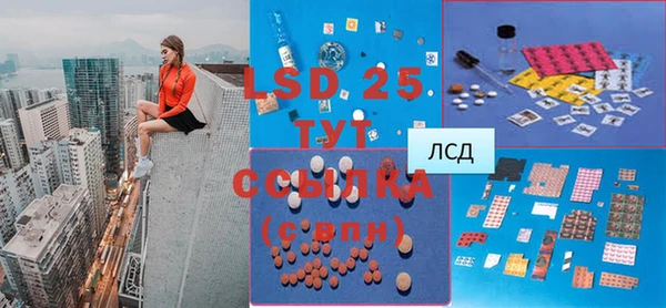 PSILOCYBIN Карпинск