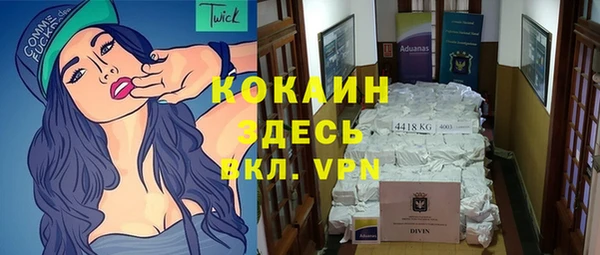 сатива Касимов