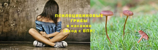сатива Касимов