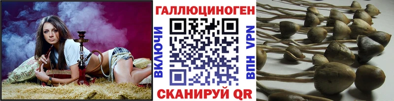 Галлюциногенные грибы мухоморы  Купить  Володарск 